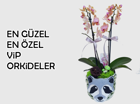 �i�ek banner