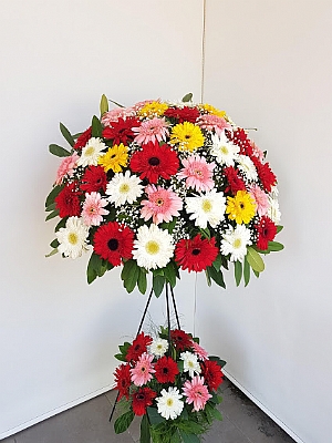 Renkli Gerbera  Feforje 